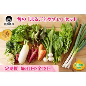 ふるさと納税 [定期便 毎月12回お届け] 柴海農園 旬の「まるごとやさい」セット (12種類前後) [0223] 千葉県印西市｜furunavi