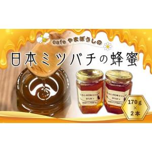 ふるさと納税 cafeやまぼうしの日本ミツバチの蜂蜜　170ｇ×2本 福岡県筑前町｜furunavi