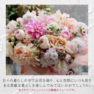 ふるさと納税 【12ヶ月定期便】花のある生活〜...の詳細画像3