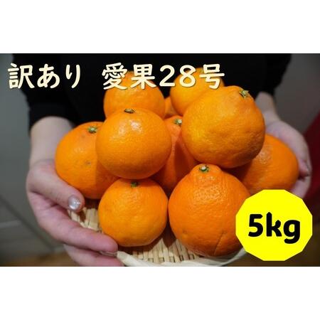 ふるさと納税 訳あり 愛果28号 5kg サイズミックス 【2024年12月配送】みかん 愛媛 数量...