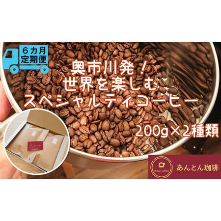 ふるさと納税 【奥市川発！定期便6か月】　世界を楽しむ　スペシャルティコーヒー　200g×2種類＜豆...