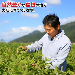 ふるさと納税 島根県産えごま油3本セット 島根...の詳細画像4