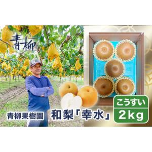 ふるさと納税 【2026年先行予約】青柳果樹園の和梨 幸水 2kg（4〜7玉） 《8月下旬〜順次出荷》 果物 こうすい 加茂市 青柳果樹園 新潟県加茂市