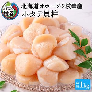 ふるさと納税 【枝幸ほたて】甘みたっぷり肉厚！大粒冷凍ほたて貝柱1kg 山武水産 北海道枝幸町