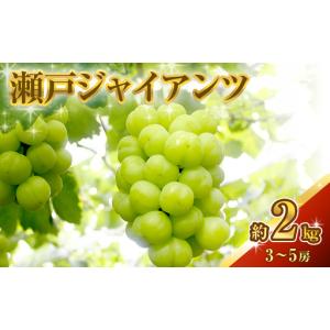 ふるさと納税 瀬戸ジャイアンツ 約2kg 3〜5房 ぶどう 葡萄 フルーツ 岡山 高梁市産 2026年 先行予約 果物類 果物  岡山県高梁市