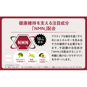 ふるさと納税 アンファー オムテック プロテイ...の詳細画像3