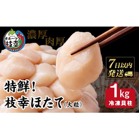 ふるさと納税 特鮮！枝幸ほたて（大粒）冷凍貝柱1kg（S〜2Sサイズ） 北海道枝幸町