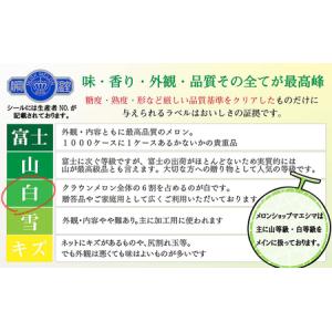 ふるさと納税 クラウンメロン 並(白等級) 小...の詳細画像1
