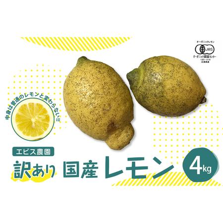 ふるさと納税 【2025年12月上旬〜発送】【訳あり】希少な国産オーガニックレモン4.0kg【栽培期...