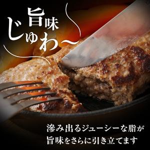 ふるさと納税 【毎月お届け】むなかた牛ハンバー...の詳細画像2