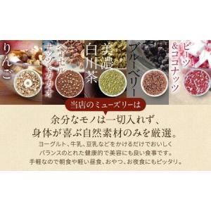 ふるさと納税 【3ヶ月定期便】飛騨のシュガーフ...の詳細画像1