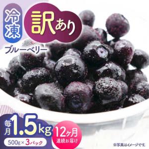 ふるさと納税 【12回定期便】【訳あり】 冷凍ブルーベリー 小粒 約1.5kg（約500g×3pc） 【すみれファーム】[ZEP055] 熊本県山鹿市