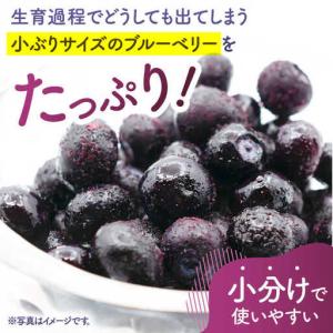ふるさと納税 【12回定期便】【訳あり】 冷凍...の詳細画像1