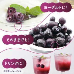ふるさと納税 【12回定期便】【訳あり】 冷凍...の詳細画像2
