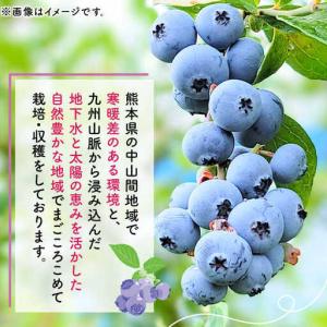 ふるさと納税 【12回定期便】【訳あり】 冷凍...の詳細画像4