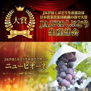 ふるさと納税 ニュー ピオーネ 約4kg ぶど...の詳細画像1