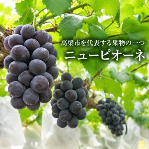 ふるさと納税 ニュー ピオーネ 約4kg ぶど...の詳細画像2