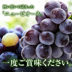 ふるさと納税 ニュー ピオーネ 約4kg ぶど...の詳細画像4
