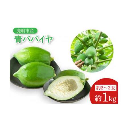 ふるさと納税 【先行予約】鹿嶋市唯一の青パパイヤ農園！青パパイヤ 約1kg （KBF-2） 茨城県鹿...