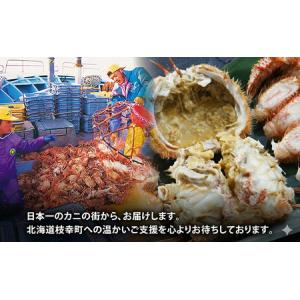 ふるさと納税 オホーツク産 北隆丸 冷凍ボイル...の詳細画像2