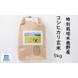 ふるさと納税 特別栽培米鹿野産コシヒカリ玄米5kg (5kgx1袋)＊北海道・沖縄・離島への配送不可＊ 山口県周南市｜furunavi