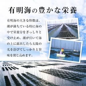 ふるさと納税 【訳あり】 福岡有明のり 海苔 ...の詳細画像3
