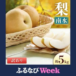 ふるさと納税 梨 南水 約5kg 梨 訳あり 長野県豊丘村