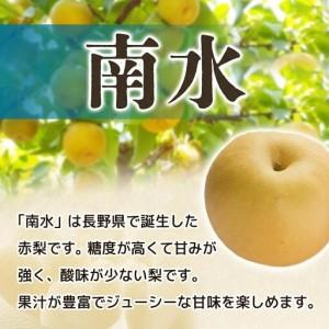 ふるさと納税 【ふるなびWEEK対象】梨 南水...の詳細画像1