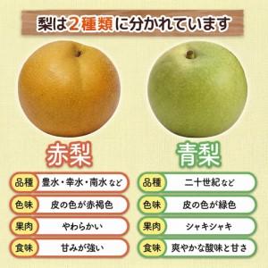 ふるさと納税 【ふるなびWEEK対象】梨 南水...の詳細画像2