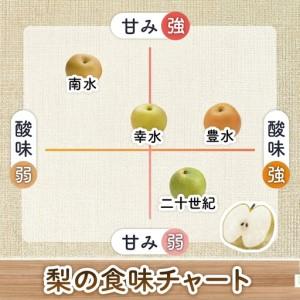 ふるさと納税 【ふるなびWEEK対象】梨 南水...の詳細画像3
