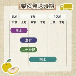 ふるさと納税 【ふるなびWEEK対象】梨 南水...の詳細画像4