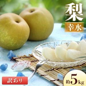 ふるさと納税 梨 幸水 約5kg 訳あり 梨 長野県豊丘村