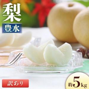ふるさと納税 米 つや姫 岐阜県 恵那市 スピード配送 〈ふるさと納税 