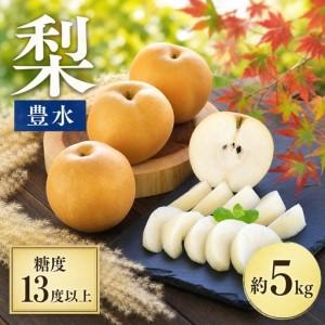 ふるさと納税 梨 豊水 約5kg 梨 長野県豊丘村