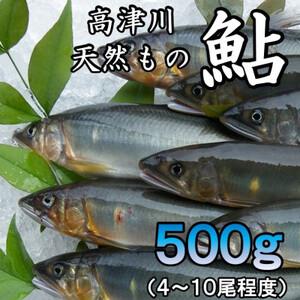 ふるさと納税 高津川天然あゆ冷凍　500g(吉賀町)【配送不可地域：離島】【1259201】 島根県...