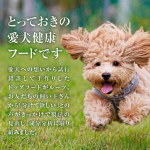 ふるさと納税 Cao Cao プレミアムドッグ...の詳細画像1
