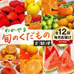 ふるさと納税 【旬のくだもの定期便】和歌山県の旬...の商品画像