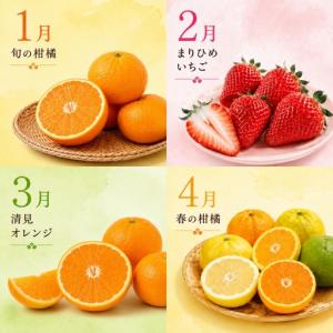 ふるさと納税 【旬のくだもの定期便】和歌山県の...の詳細画像1