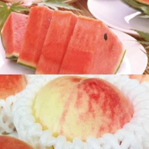 ふるさと納税 【旬のくだもの定期便】和歌山県の...の詳細画像2