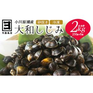 ふるさと納税 砂抜き済みで手間いらず！冷凍・小川原湖産大和しじみ2kg（250g×8袋）　【02408-0074】 青森県東北町｜furunavi