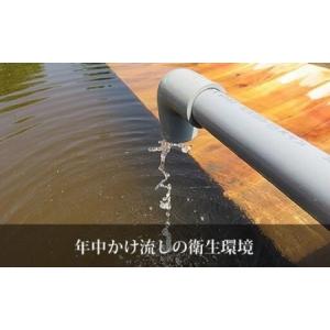 ふるさと納税 「兜すっぽん」鍋 醤油・生姜味2...の詳細画像3