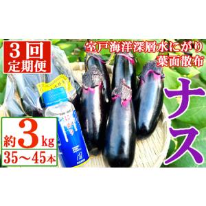 ふるさと納税 【定期便3回発送】農家直送　土佐の美味茄子の新鮮ナス　３kg　（室戸海洋深層水にがり使用） 野菜 なす ナス 常温 小袋 国産 夏野.. 高知県室戸市｜furunavi