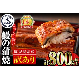 ふるさと納税 【訳あり・数量限定】復活！不揃いのうなぎ達 計800g以上(鹿児島県産 鰻の蒲焼き)  うなぎ 鰻 ウナギ 不揃い ふぞろい 訳アリ .. 鹿児島県志布志市｜ふるなび(ふるさと納税)