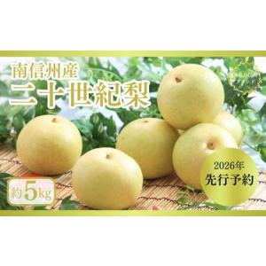 ふるさと納税 JA07-26A【先行予約】梨 二十世紀 約5kg / 2026年9月上旬〜9月下旬頃 配送予定 // 贈答 センサー選別 糖度センサー 梨 なし ナシ .. 長野県松川町