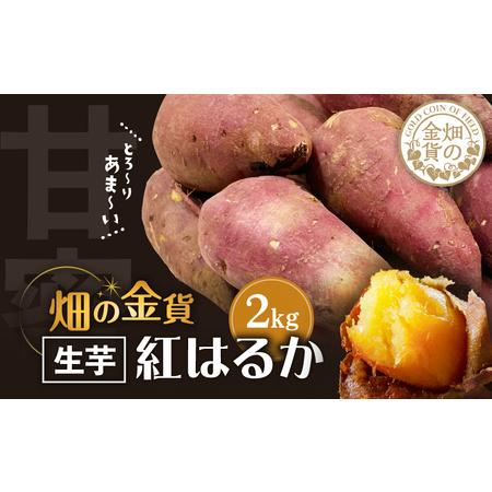 ふるさと納税 畑の金貨　生芋　紅はるか 2kg　K181-004 さつまいも 生 芋 野菜 長期 熟...