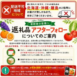 ふるさと納税 【旬のくだもの定期便】和歌山県の...の詳細画像4
