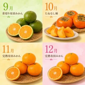 ふるさと納税 【旬のくだもの定期便】和歌山県の...の詳細画像3