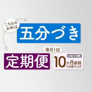ふるさと納税 《定期便10ヶ月》【5分搗き】あ...の詳細画像2
