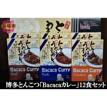 ふるさと納税 博多とんこつ「Bacacaカレー」6食×2セット【C-124】博多 博多とんこつ カレ...