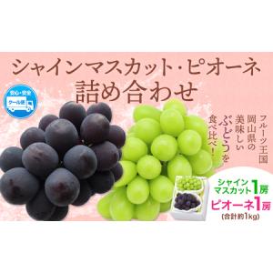 ふるさと納税 シャインマスカット・ピオーネ詰め合わせ 約1.0kg ぶどう 岡山県笠岡市
